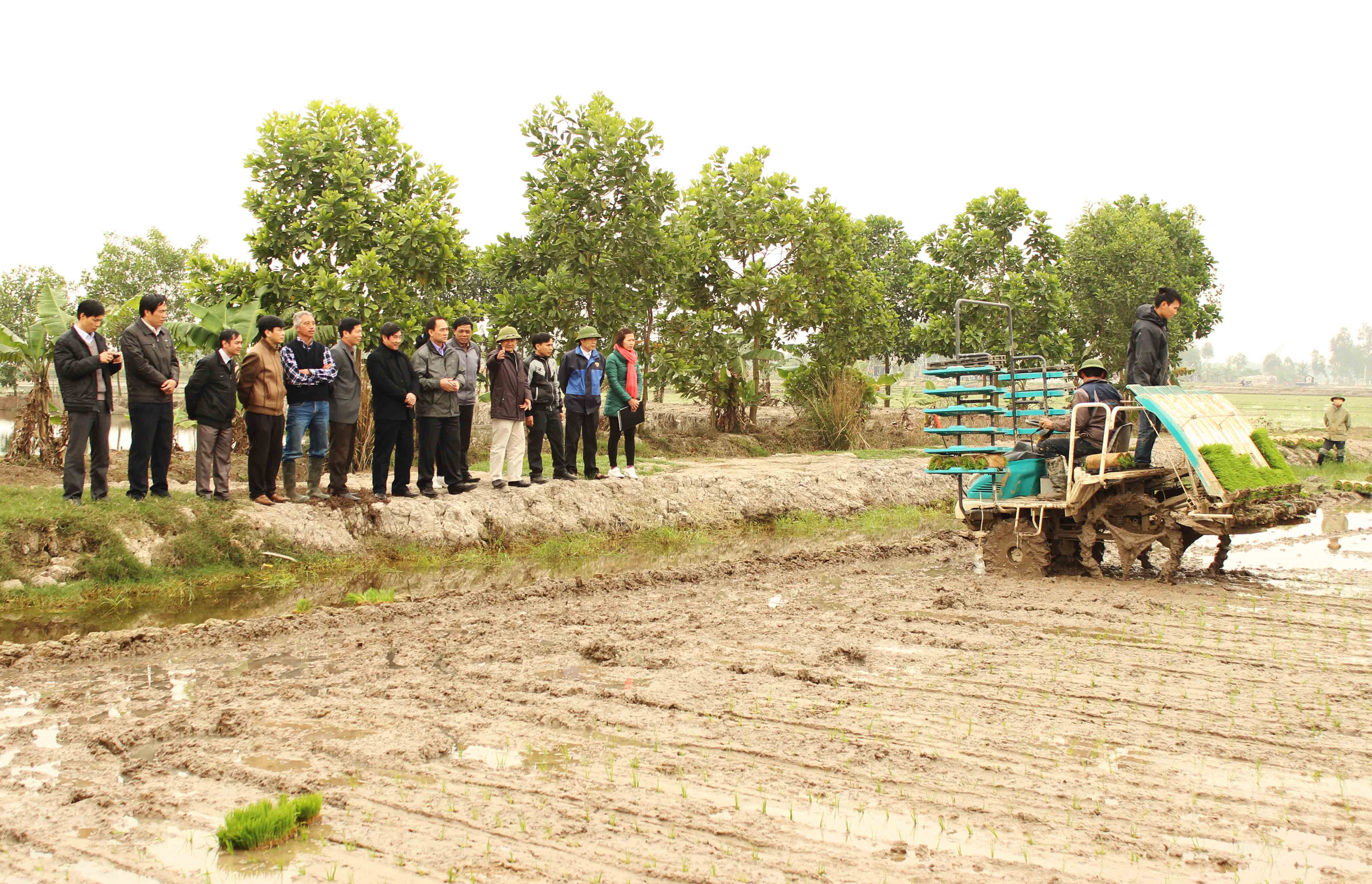 Kết quả dồn diền, đổi thửa và các giải pháp đẩy nhanh tiến độ trên địa bàn tỉnh